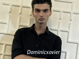 dominicxavier Porn Star