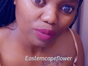 Easterncapeflower