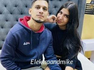 Elektraandmike