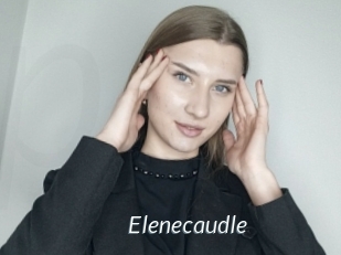 Elenecaudle