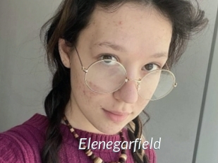 Elenegarfield