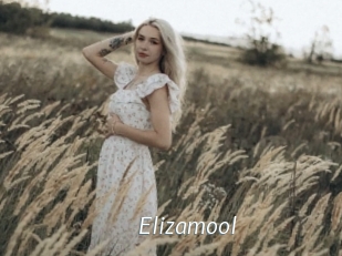 Elizamool