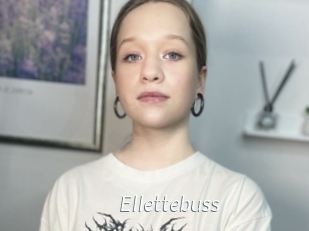 Ellettebuss