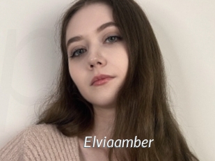 Elviaamber