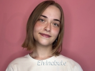 Elvinabute