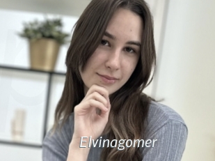 Elvinagomer