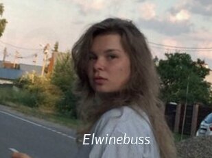 Elwinebuss