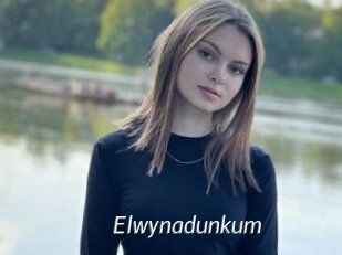 Elwynadunkum