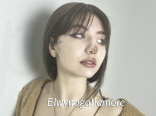 Elwynagallamore