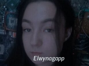 Elwynagapp