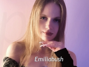 Emiliabush