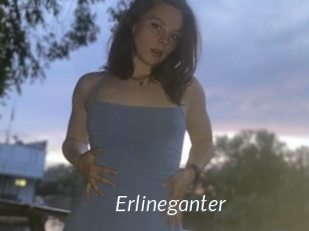 Erlineganter