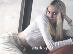 Evalevy