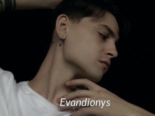 Evandionys