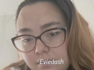 Eviedash