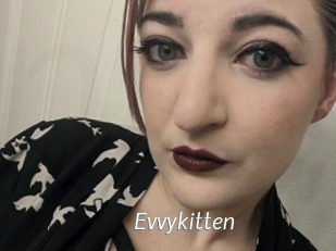 Evvykitten