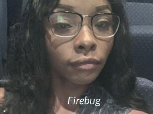 Firebug