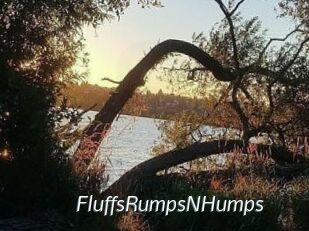 FluffsRumpsNHumps