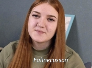 Falinecusson