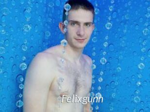 Felixgunn