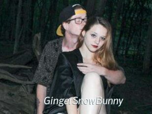 GingerSnowBunny