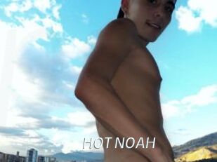 HOT_NOAH