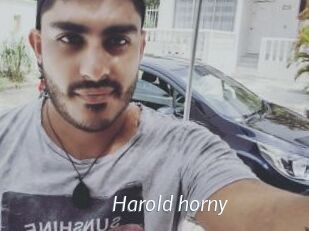 Harold_horny