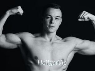 HeilgarVip