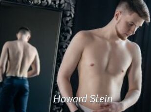 Howard_Stein