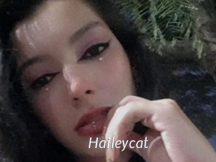 Haileycat