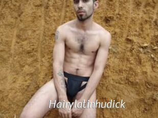 Hairylatinhudick