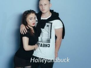 Halleyandbuck