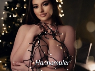 Hannamuler