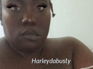 Harleydabusty