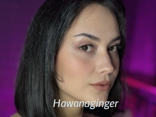 Hawanaginger