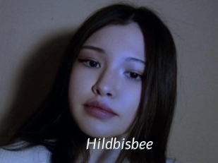 Hildbisbee