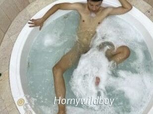 Hornywildboy