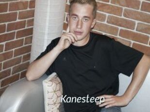 Kanesteep