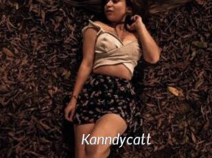 Kanndycatt