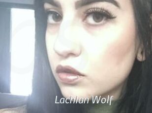 Lachlan_Wolf