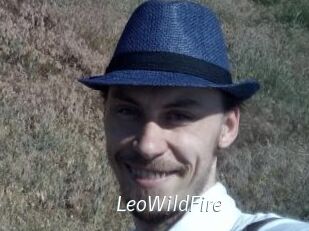 LeoWildFire