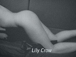 Lily_Crow