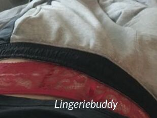 Lingeriebuddy