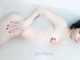 Le_mure