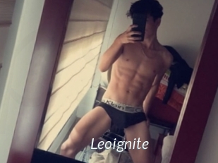 Leoignite