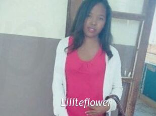 Lillteflower