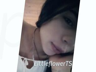 LittleflowerTS