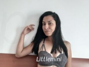 Littlemini