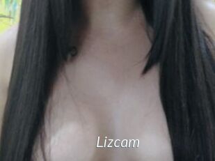 Lizcam