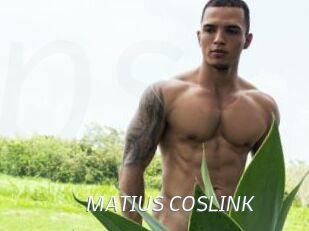 MATIUS_COSLINK